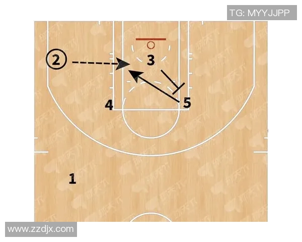 深圳排球队包夹战术的优劣分析与未来发展方向探讨